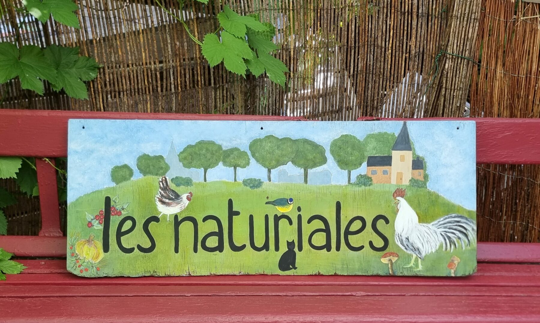 Les Naturiales – Le blog