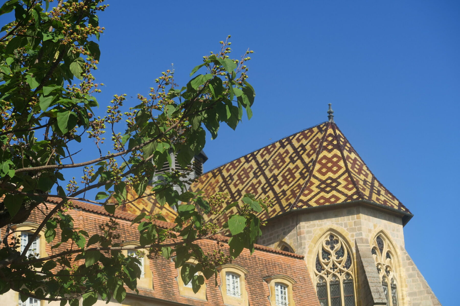 Les Naturiales – Le blog