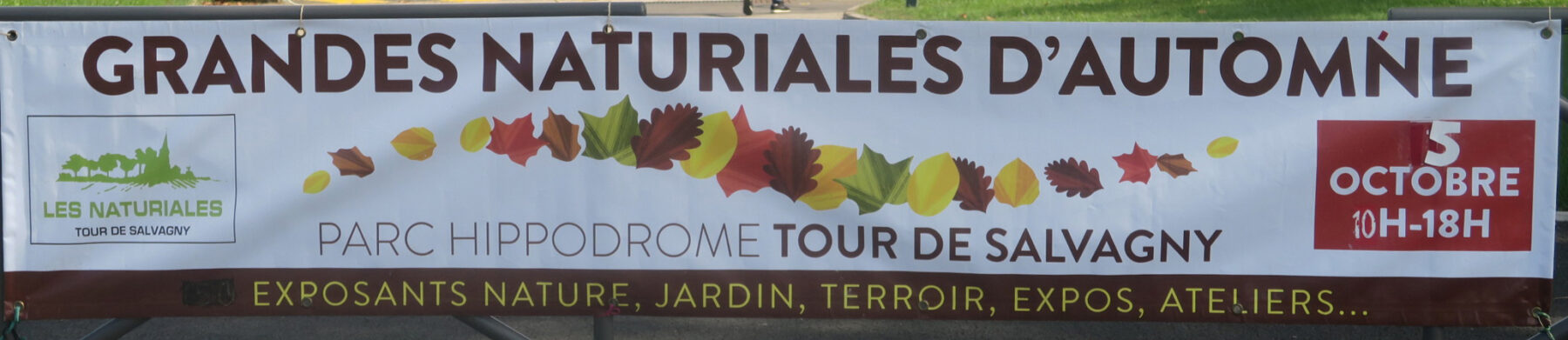 Les Naturiales – Le blog