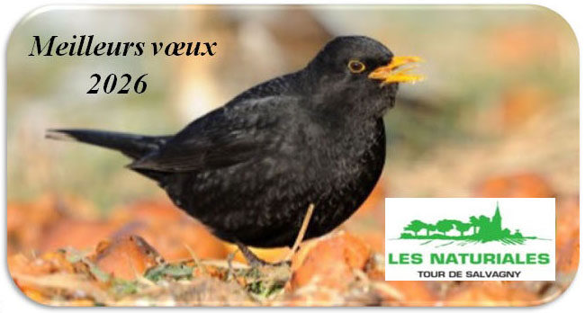 Les Naturiales – Le blog