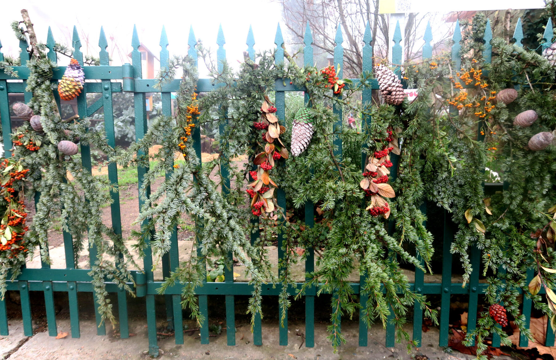 Les Naturiales – Le blog