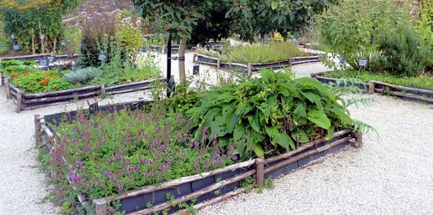 Les Naturiales – Le blog