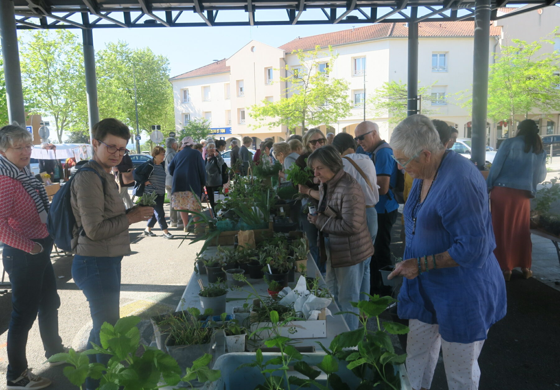 Les Naturiales – Le blog