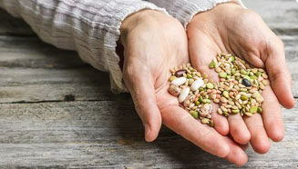 Les Naturiales – Le blog