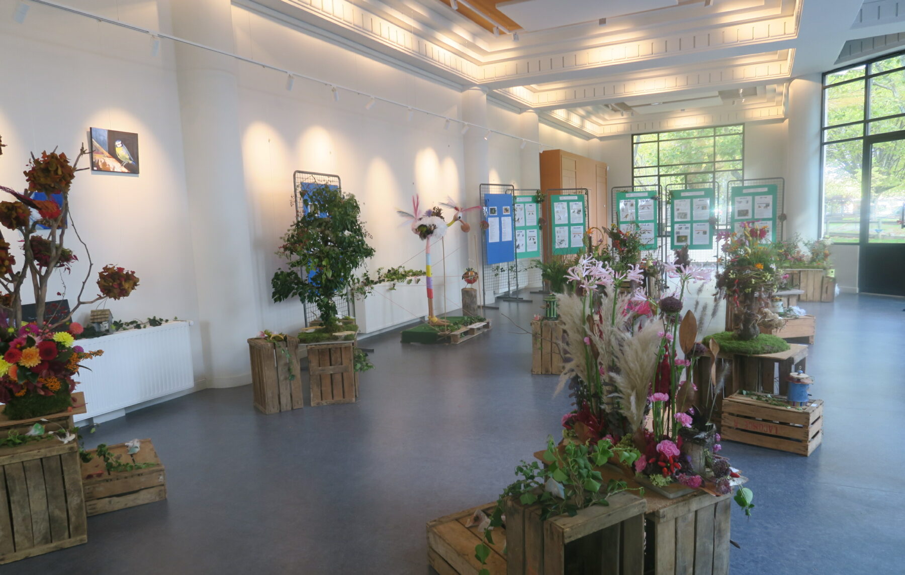 Les Naturiales – Le blog