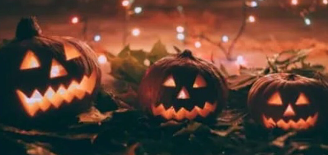 Les Naturiales – Le blog