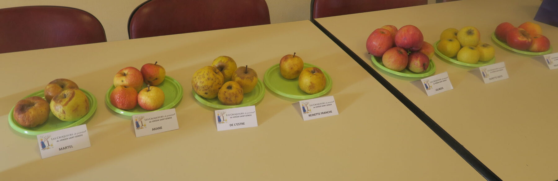 Les Naturiales – Le blog